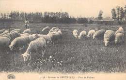 CPA BELGIQUE / PARC DE WOLUWE / LES MOUTONS - Woluwe-St-Pierre - St-Pieters-Woluwe