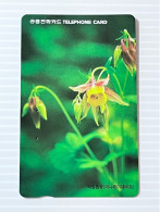 South Korea Telecom Phonecard, Horsetail (Apiaceae), Set Of 1 Used Card - Corea Del Sur