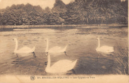CPA BELGIQUE / WOLUWE SAINT PIERRE / LES CYGNES AU PARC - Woluwe-St-Pierre - St-Pieters-Woluwe