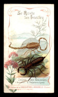 CHROMOS - CHOCOLATERIE D'AIGUEBELLE - LE MONDE DES INSECTES - FORMAT 6.5 X 11.4 CM - Aiguebelle