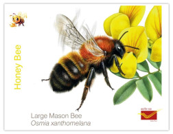 India 2025 INSECT - HONEY BEE - MINT / BLANK PPC Maxim/Picture Post Card As Per Scan - Insectes