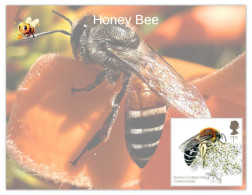 UK GB 2025 INSECT - HONEY BEE - MINT / BLANK PPC Maxim/Picture Post Card As Per Scan - Insectes