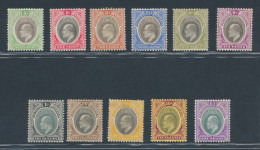 1903-04 Southern Nigeria, Stanley Gibbons N. 10/20,  Edoardo VII - MLH* - Other & Unclassified