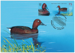 KYRGYZSTAN 2025 KEP 244 FERRUGINOUS DUCK MINT MAXIMUM CARD - Ducks