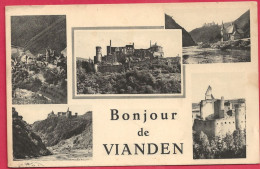 C.P. Vianden = Panorama  Pris  Du  Belvédère - Vianden