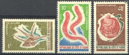 Ivory Coast 1971, Shells, 3val - Coquillages
