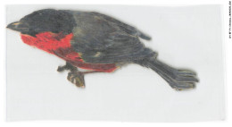 CH-BFP1-0412-CHROMOS - CHOCOLAT LOUIT - Oiseau - Louit