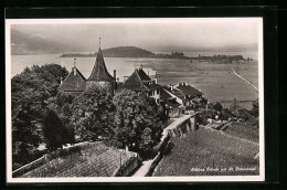 AK Erlach, Schloss Mit Blick Auf St. Petersinsel - Sonstige & Ohne Zuordnung
