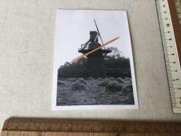 Originele Foto Van De Molen In Gistel 1974 !! - Gistel