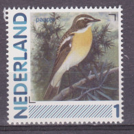Nederland Netherlands Pays Bas Holanda Niederlande MNH : Paapje Whinchat Traquet Tarier Tarabilla Vogel Bird Ave Oiseau - Sparrows