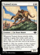 Magic: The Gathering - Outlaws Of Thunder Junction Card #36 - Trained Arynx - Autres & Non Classés
