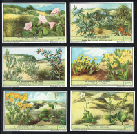 LIEBIG - FR - 6 Chromos N° 1 à 6 - Série/Reeks S 1622 - UNE PROMENADE DANS LES DUNES. - Liebig