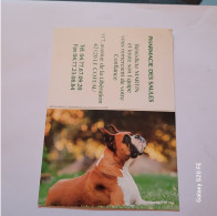 Loire ** Le Coteau  ** Pharmacie Des Saules  ** Petit Calendrier 2020 ** Chien  Boxer - Small : 2001-...
