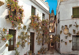 ESPAGNE SEVILLE ANDALOUSIE - Sevilla
