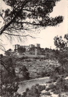 13-MEYRARGUES-LE CHÂTEAU-N°383-B/0101 - Meyrargues