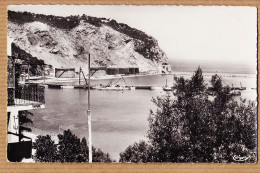 26482 /  ️ Rare BOUGIE Algérie Les Réserves De Pétrole Zone Portuaire 1950s Véritable Photographie COMBIER 320 - Bejaia (Bougie)