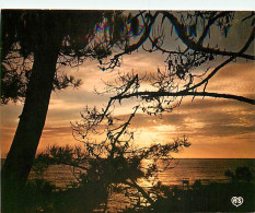 Coucher De Soleil - CPM - Voir Scans Recto-Verso - Hold To Light