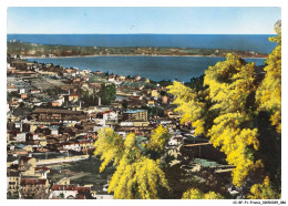 CI-BFP1-0044-06 - VALLAURIS - Vue Générale - Vallauris