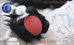 ASCENSION - Ascension