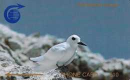 ASCENSION - Ascension