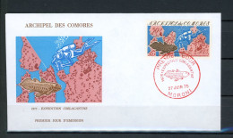BO2-4 Comores  FDC 1er Jour N° 104      A Saisir !!! - Briefe U. Dokumente