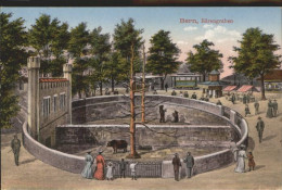 Bern BE Baerengraben Zoo - Sonstige & Ohne Zuordnung