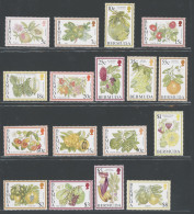 1994-95 BERMUDA - 17 Valori-Frutti Catalogo Michel N. 650-54+659-64+673-78 - MNH** - Sonstige & Ohne Zuordnung