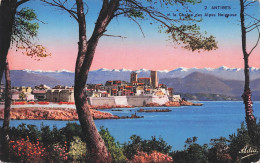 6 ANTIBES LA CHAINE DES ALPES NEIGEUSE - Juan-les-Pins