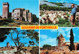 13 FONTVIEILLE LE MOULIN DE DAUDET - Fontvieille