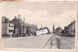 Dessel :  De Molsebaan - Dessel