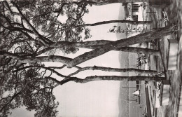 06-JUAN LES PINS-N°T5104-B/0345 - Juan-les-Pins