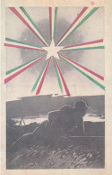 Cartolina   / Postcard /  Non Viaggiata /  Lonigo - Manifestazione Filatelica Di Posta Militare - Demonstrationen