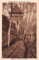 UKR-UKRAINE NEVICKE-N°4230-A/0155 - Ucraina