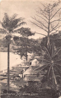 SIERRA LEONE - Destruction Bay - Publ. Unknown 210 - Sierra Leone