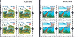 2025 /Tunisie /Euromed Postal /Réserves Naturelles Méditerranéennes :Faune & Flore/en Bloc De 4 Coin Daté- 8V/ MNH****** - Seagulls