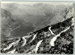 39753109 - Kotor Cattaro - Montenegro