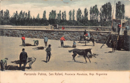 A812 Argentina Marcando Potros San Rafael Provincia Mendoza Horse Kill Postcard - Unclassified