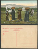 Egypt Old Postcard Filles Arabes Dans Le Moisson Native Arab Girls Harvest Camel - Unclassified