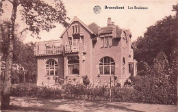 Brasschaet - Brasschaat - Les Bouleaux - Brasschaat