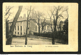 Belgique - Namur - Ciney - Les Environs De Ciney - Le Château D'Arville - Ohey