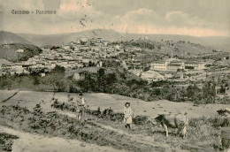 CECCANO ( FROSINONE )  PANORAMA - EDIZ. PALLADINI  - SPEDITA 1941 ( 24627 ) - Frosinone