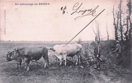18 - Cher -  Le Labourage En Berry - Attelage De Boeufs - 1906 - Autres & Non Classés