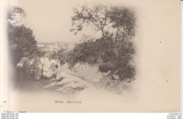 Environs De Blida Carte Postale Animee Cod- 52702 - Blida