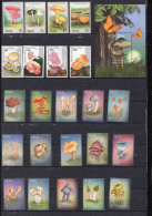 ST KITTS & NEVIS - Lot De 23 Timbres Et 1 BF "champignons" ** - Antillen