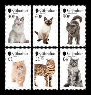 Gibraltar 2025 Mih. 2195/200 Fauna. Cats MNH ** - Gibraltar