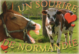 CPM - C - UN SOURIRE DE NORMANDIE - VACHE - CHEVAL - Sonstige