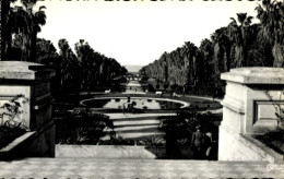 CPA Algier Alger Algerien, Gartenansicht, Palmen, Wasserbecken, Bänke, Spaziergänger - Sonstige & Ohne Zuordnung