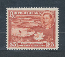 1938-52 BRITISH GUIANA - Stanley Gibbons N. 319 - MNH** - Other & Unclassified
