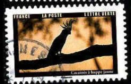 France Poste AA Obl Yv:2101 Mi:8124 Cacatoès à Huppe Jaune Cacatua Galerita (TB Cachet Rond) - Perroquets & Tropicaux