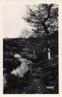 22 SAINT NICOLAS DU PELEM LA RIVIERE DU FAODEL - Saint-Nicolas-du-Pélem